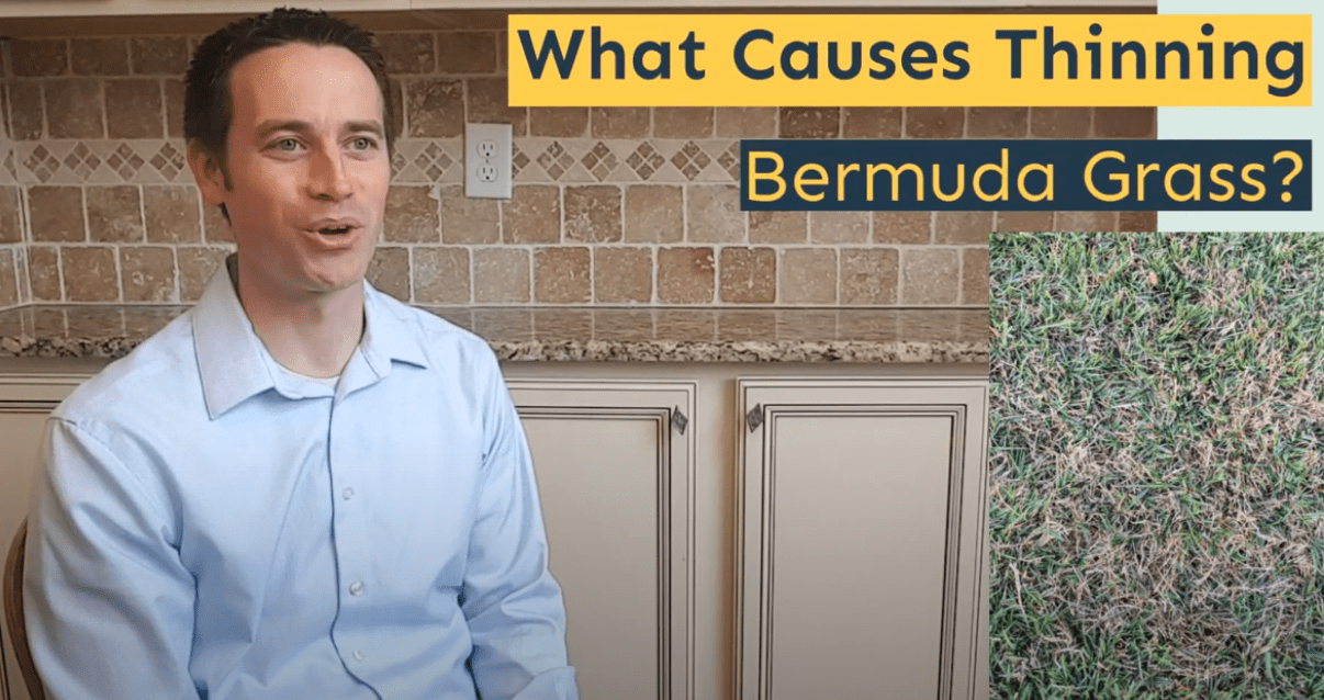 A video thumbnail, Ryan Wall of Absolute Green Landscaping speaking. Text on the thumbnail: What causes Thinning Bermuda grass?